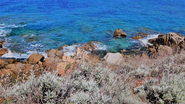 新加坡春天国际学院物流与运营管理高级文凭课程申请准备