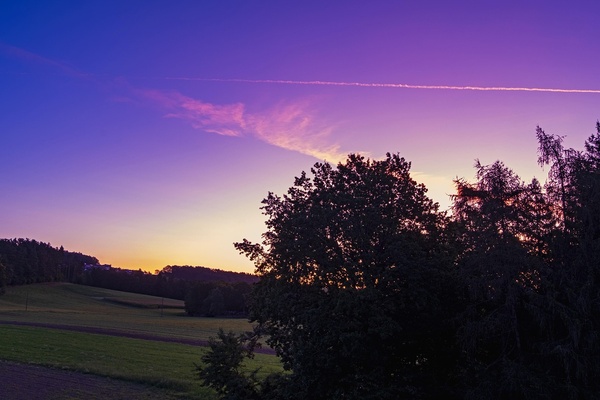 新加坡春天国际学院酒店与旅游管理文凭课程适合学生判读